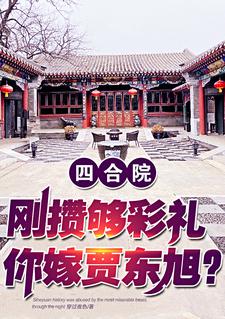 四合院：悔婚就悔婚，我无所谓的无错小说