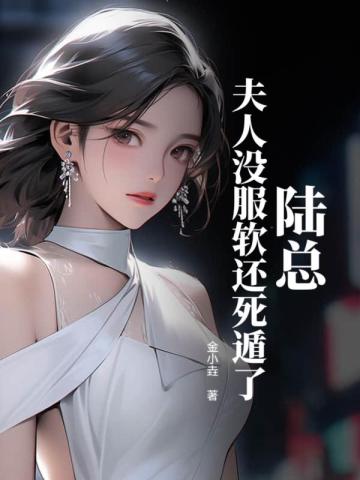 陆总夫人a