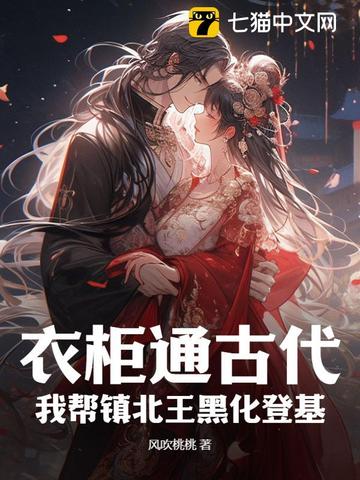 衣柜通古代，我帮镇北王黑化登基By{author}