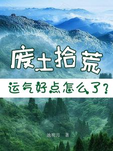 废土拾荒，运气好点怎么了？ By{author}