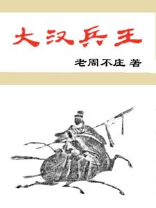 大汉兵戎小说