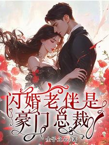 闪婚老伴是豪门总裁By{author}